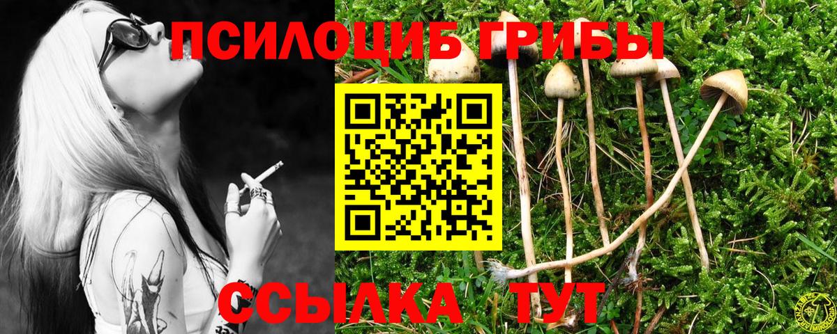 Галлюциногенные грибы ЛСД Реутов