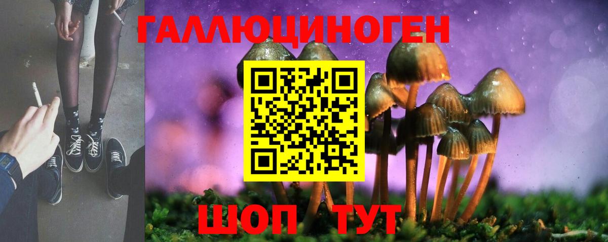 купить наркоту  Вход с VPN  Реутов  Галлюциногенные грибы мухоморы 